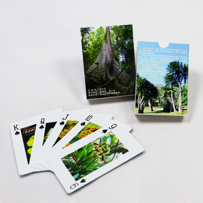 comprar Publicidad holográfica Tarjetas de juego de pantalla de la empresa de la propaganda de papel personalizado online manufacture