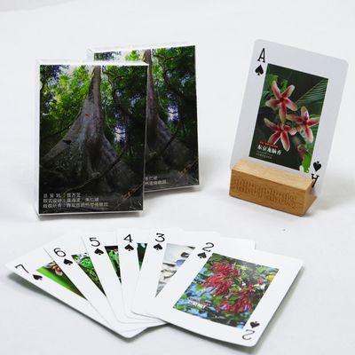 comprar Tarjetas de juego de publicidad de impresión verde con caja de impresión de alta calidad Alemania Tarjeta de juego de papel de núcleo negro online manufacture