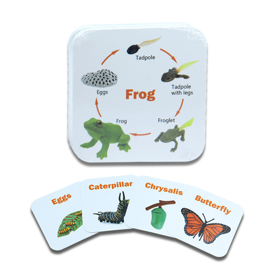 Tarjetas personalizadas de insectos de animales para juegos educativos para niños en diferentes diseños